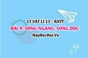 Lý thuyết Vật lí 11 Kết nối tri thức bài 9: Sóng ngang, sóng dọc và sự truyền năng lượng của sóng cơ